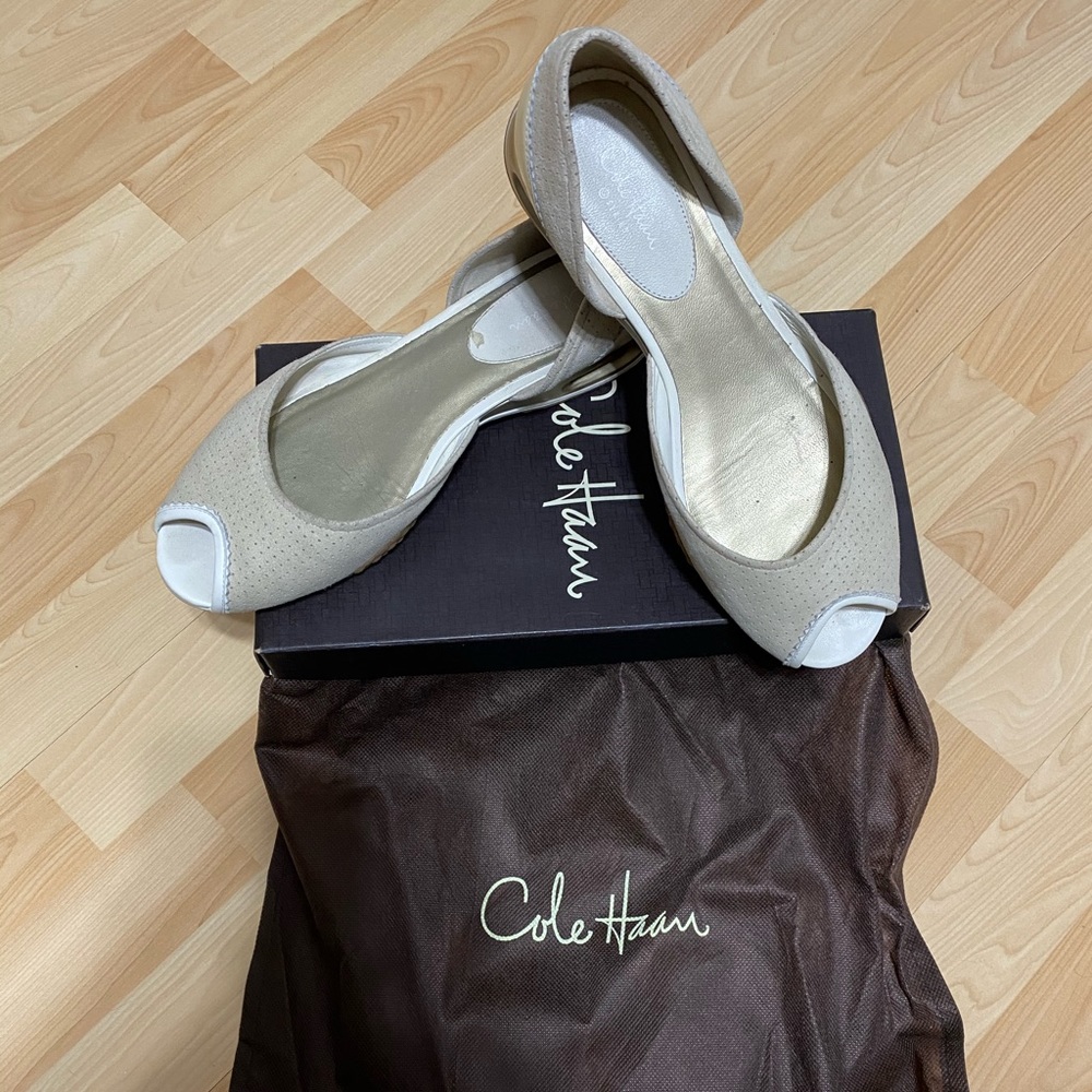 Cole Haan shoes with Nike air